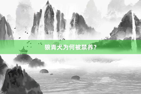 狼青犬为何被禁养？