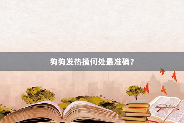 狗狗发热摸何处最准确？