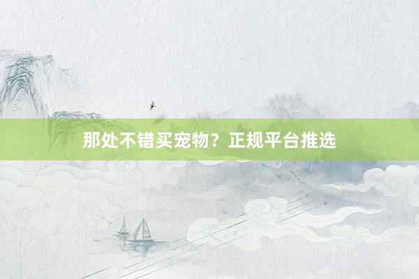 那处不错买宠物？正规平台推选